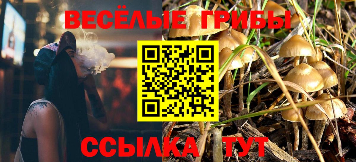Галлюциногенные грибы Magic Shrooms  Галлюциногенные грибы мицелий  Вход с VPN  Муравленко 