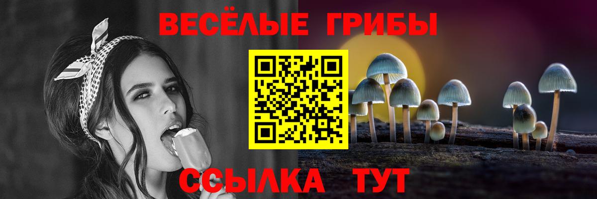 Псилоцибиновые грибы Cubensis Муравленко